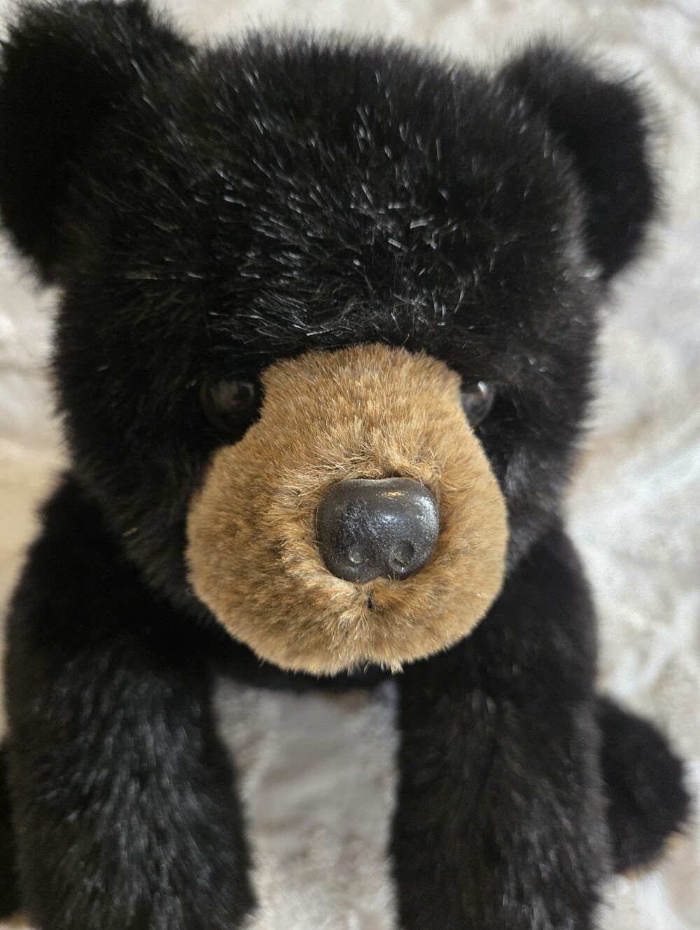 The Bearington Collection Baby Bandit Plush Black Brown Teddy Bear